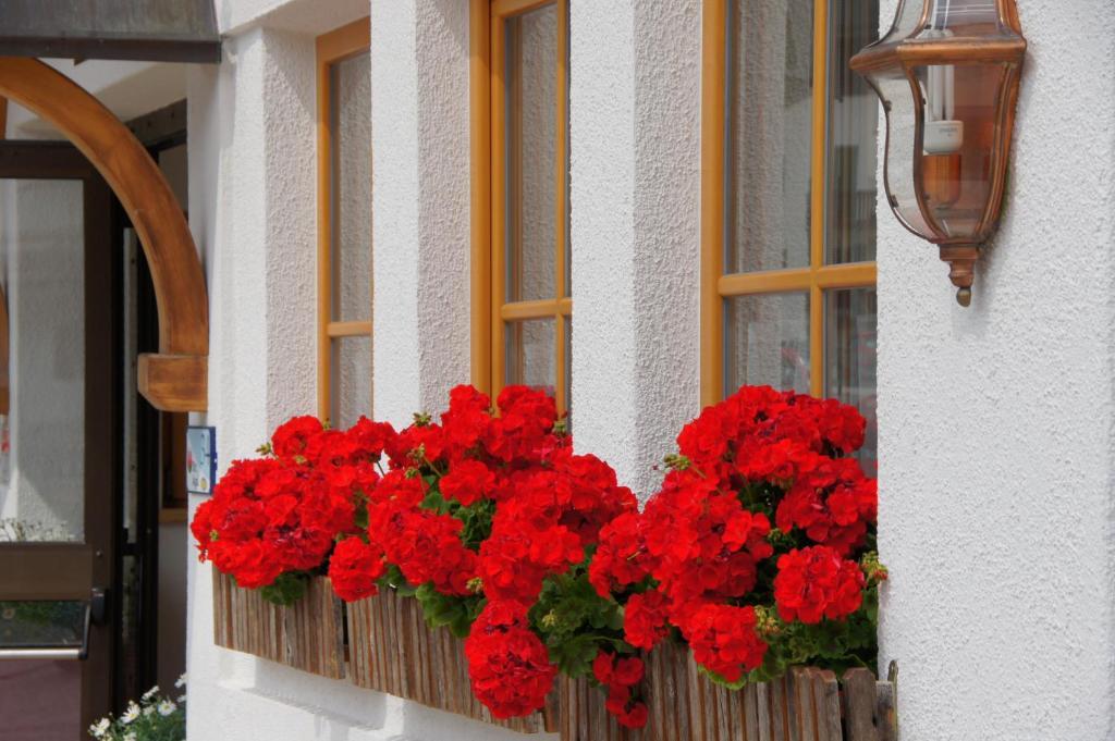 Garni Tofana Hotel Corvara In Badia Bagian luar foto